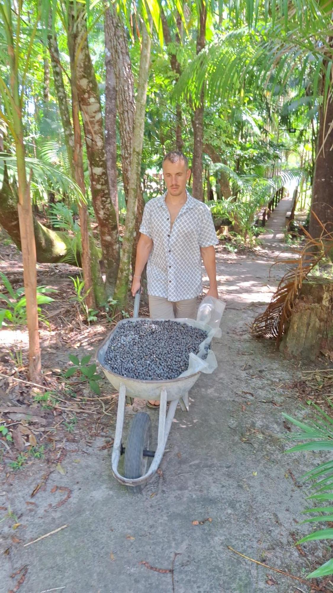 Villa Casa Da Mata Marajo Salvaterra Esterno foto
