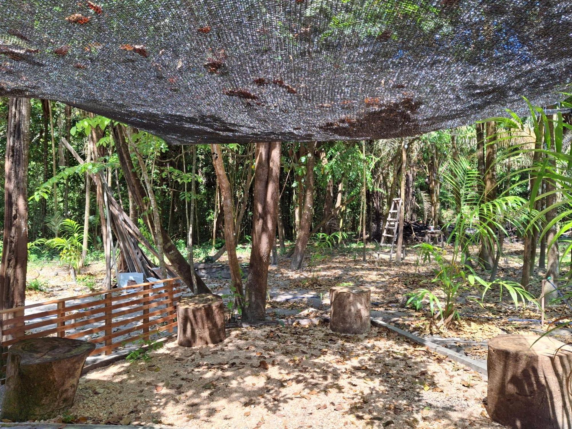 Villa Casa Da Mata Marajo Salvaterra Esterno foto